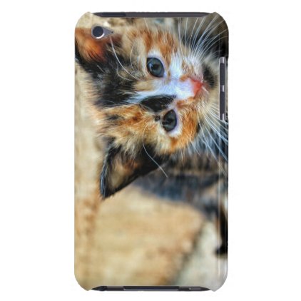 Sweet Kitten looking at YOU Barely There iPod Cover