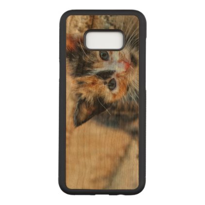 Sweet Kitten looking at YOU Carved Samsung Galaxy S8+ Case