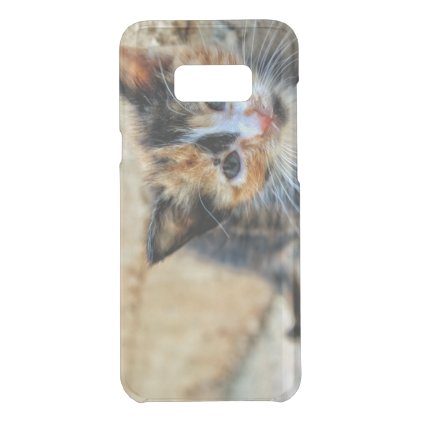 Sweet Kitten looking at YOU Uncommon Samsung Galaxy S8+ Case