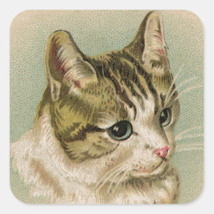 Sweet Kitten Square Sticker