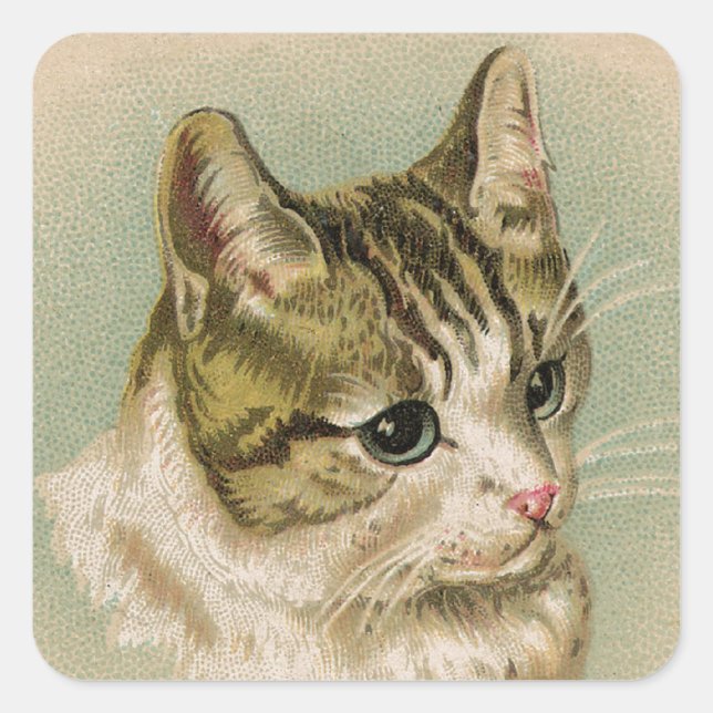 Sweet Kitten Square Sticker (Front)