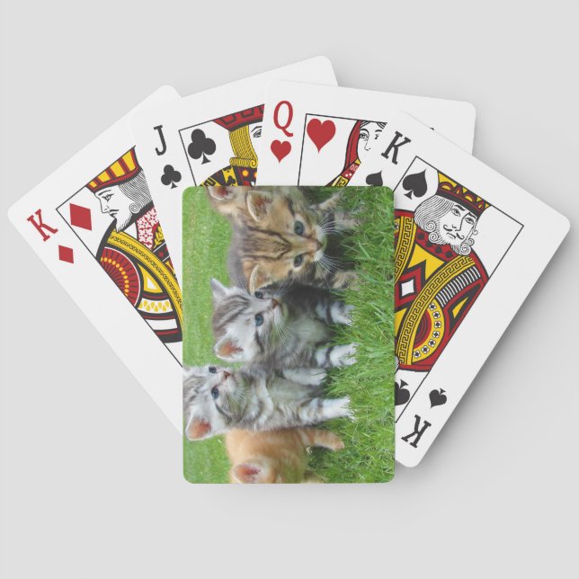 Sweet Kittens Bunch Poker Cards (Back)