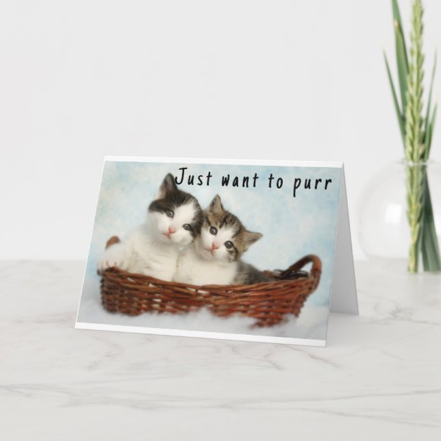 "SWEET KITTENS" HAPPY BIRTHDAY  CARD (Front)