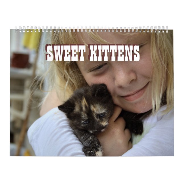 Sweet Kittens  Katzen Kalender Calendar (Cover)