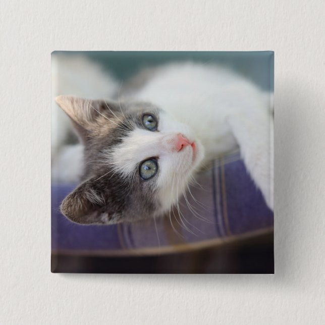 Sweet Kitty In Plaid Bed Button (Front)
