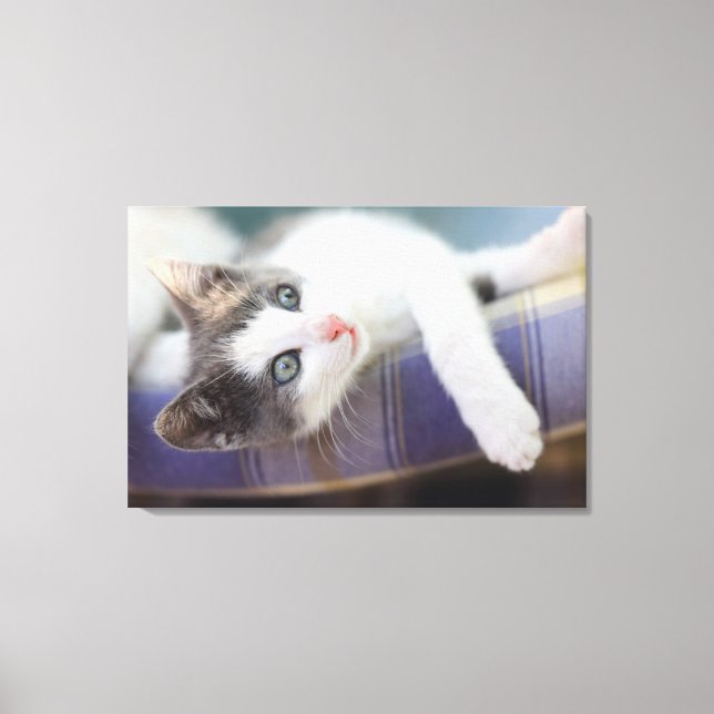 Sweet Kitty In Plaid Bed Canvas Print (Front)