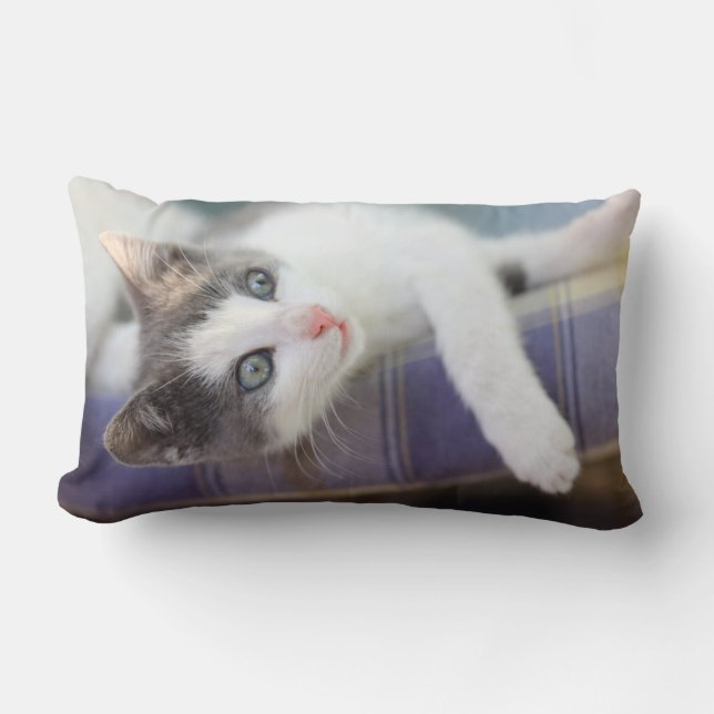 Sweet Kitty In Plaid Bed Lumbar Pillow (Front)