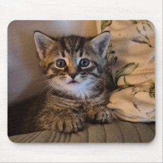 Sweet kitty mouse pad