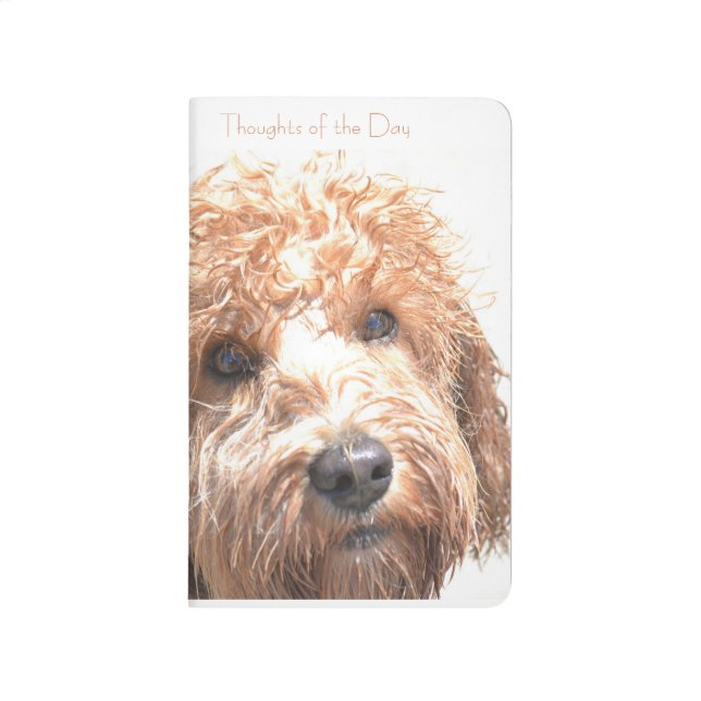 Sweet labordoodle thoughts for the day Journal (Front)