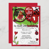 Sweet Ladybug Birthday Invitation ADORABLE (photo) (Front/Back)