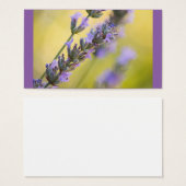 Sweet lavender (Front & Back)