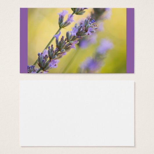 Sweet lavender (Front & Back)