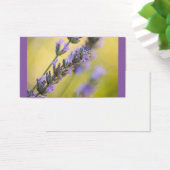 Sweet lavender (Desk)