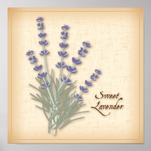 Sweet Lavender Poster