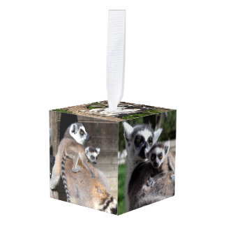 Sweet Lemur Cattas Cube Ornament