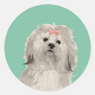 Sweet Lhasa Apso Sticker for Dog Lovers