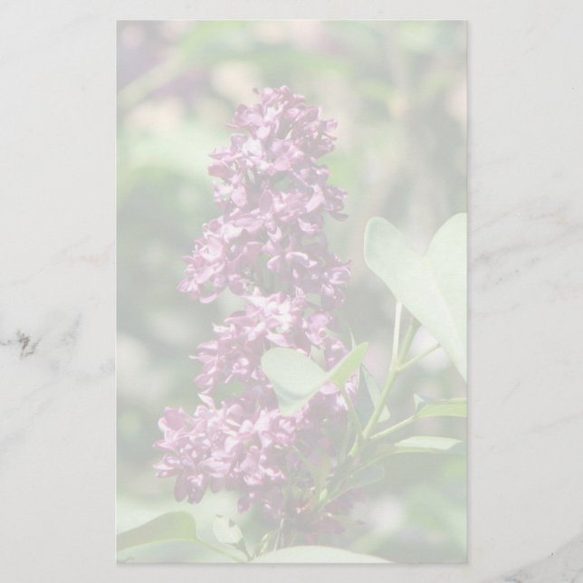 Sweet Lilac Stationery (Front)