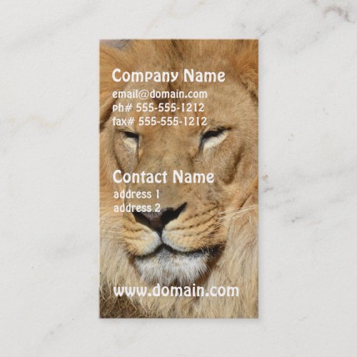 Sweet Lion Business Card