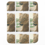 Sweet Lioness Swaddle Blanket