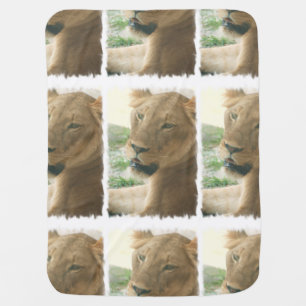 Sweet Lioness Swaddle Blanket