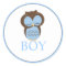Sweet Little Boy Owl Gender Reveal Team BOY