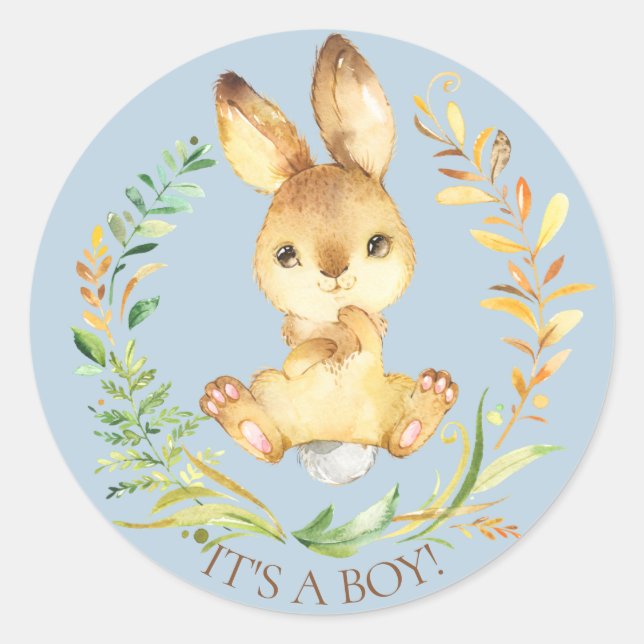 Sweet Little Bunny It' a Boy Favor Sticker (Front)