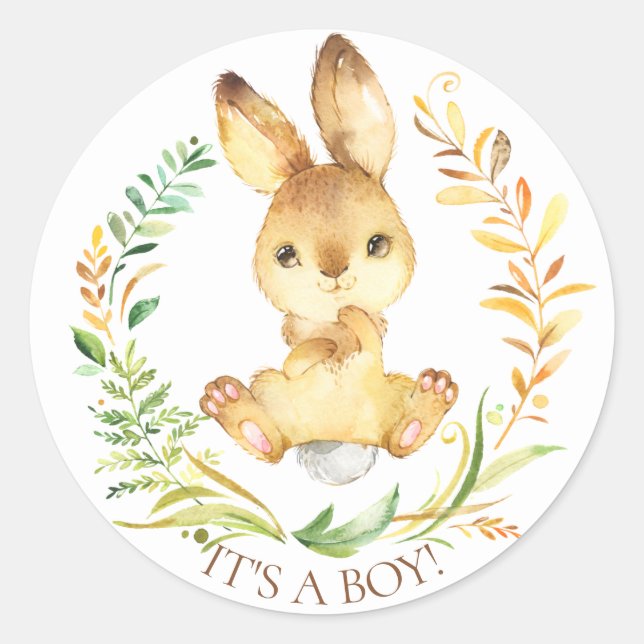 Sweet Little Bunny It' a Boy Favor Sticker (Front)