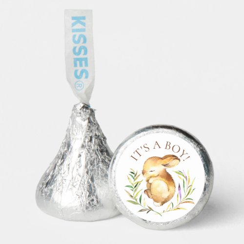 Sweet Little Bunny It a Boy Hersheys Kisses