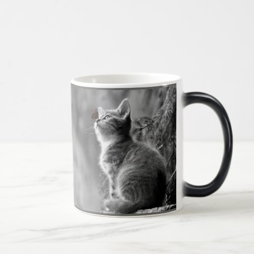 Sweet Little Cat With Butterfly Magic Mug