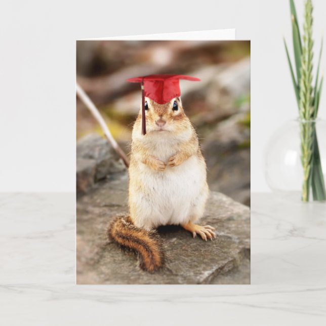 Sweet Little Chipmunk Graduate Greeting Card (Front)