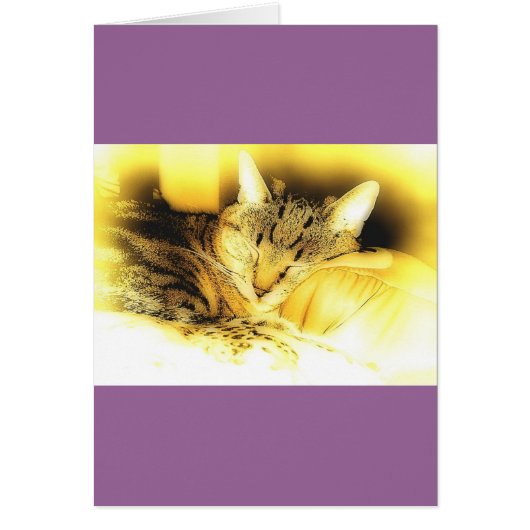 Sweet Little Indigo Cards (Front)
