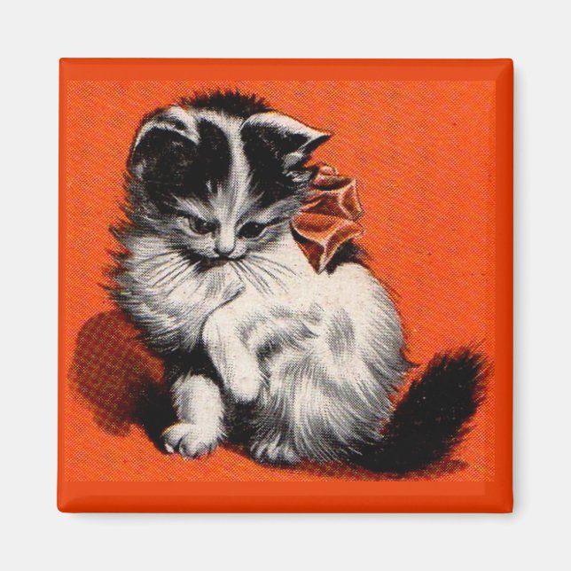 sweet little kitten magnet (Front)