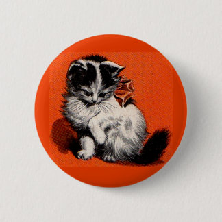 sweet little kitten pinback button