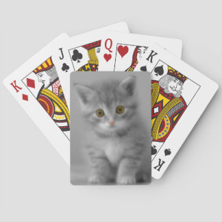 Sweet Little Kitten Poker Cards