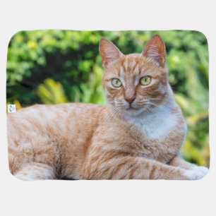 Sweet little kitty baby blanket