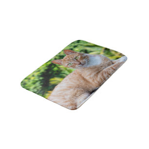 Sweet little kitty bath mat