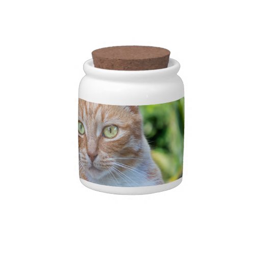 Sweet little kitty candy jar