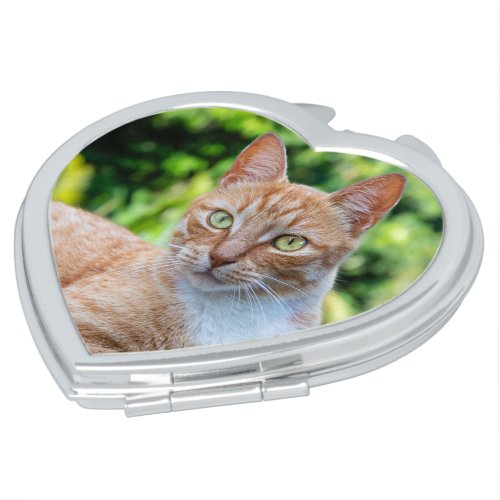 Sweet little kitty compact mirror