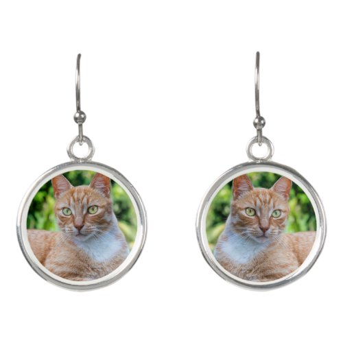 Sweet little kitty earrings