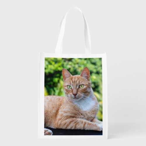 Sweet little kitty grocery bag