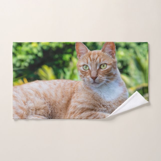 Sweet little kitty hand towel  (Hand Towel)