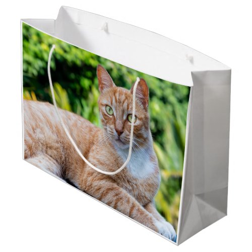 Sweet little kitty large gift bag