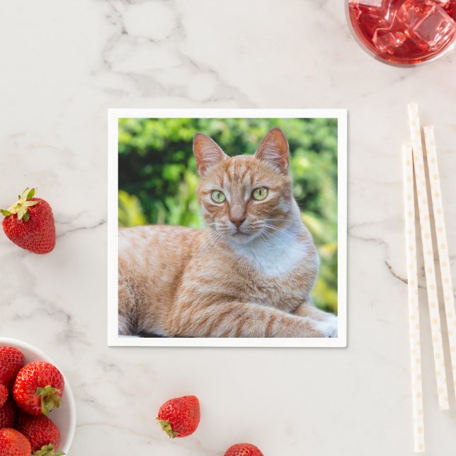 Sweet little kitty napkins (Insitu)