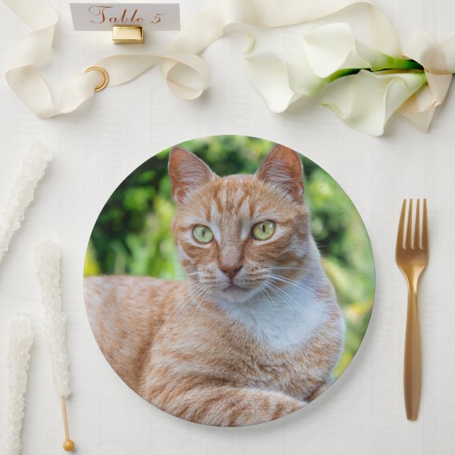 Sweet little kitty paper plates (Wedding)