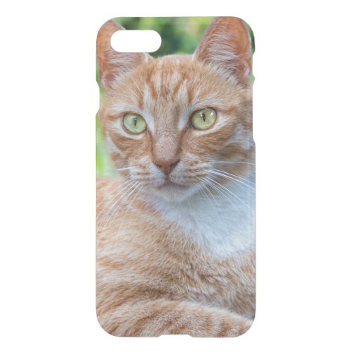 Sweet little kitty iPhone SE87 case