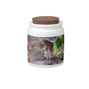 Sweet little koala candy jar
