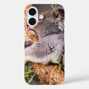 Sweet little koala iPhone 16 case