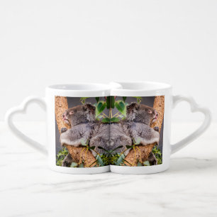 Sweet little koala coffee mug set