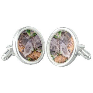 Sweet little koala cufflinks