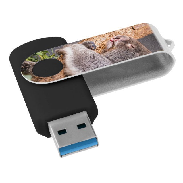 Sweet little koala flash drive (Angled)